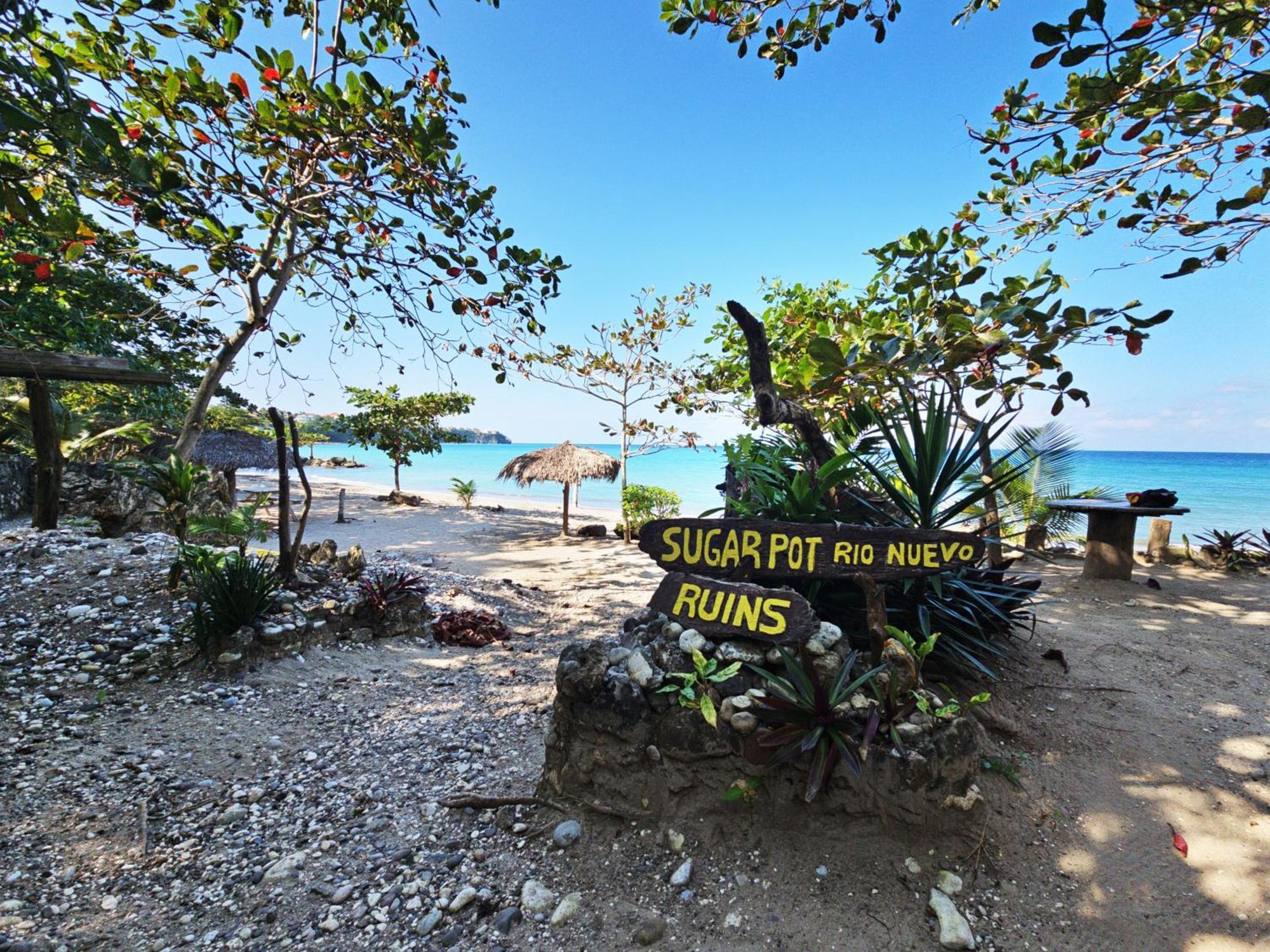 Chrisanns Paradise Suite By The Ocean - Apt#9 オーチョ・リオス エクステリア 写真