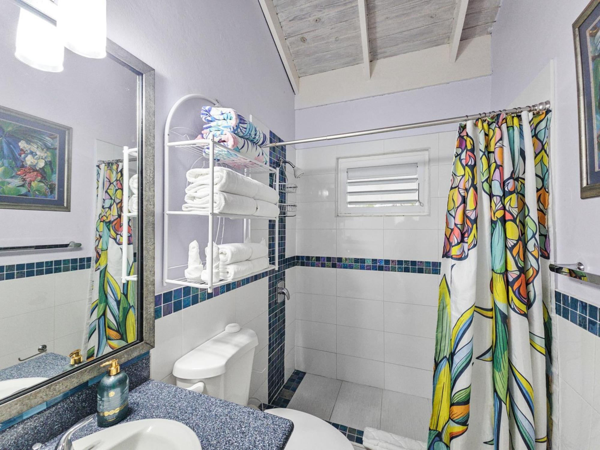Chrisanns Paradise Suite By The Ocean - Apt#9 オーチョ・リオス エクステリア 写真
